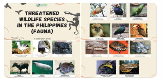 Endemic And Endangered Plants And Animal PDF Philippines, 42% OFF